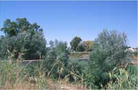 Alameda del Hondo Las Fuentes Alameda del Hondo Las Fuentes