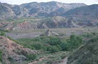Pantano de Elche Pantano de Elche