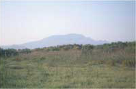 Tarayal Río Vinalopó Tarayal Río Vinalopó