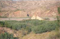 Tarayal Barranco Los Ojos Tarayal Barranco Los Ojos
